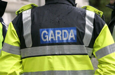 Gardaí renew witness appeal for collision which hospitalised a woman in her 40s