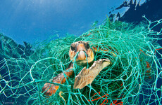 Opinion: If we don't act now on plastic pollution, we will run out of choices
