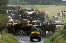 Agriculture sector to have ‘really ambitious targets’ for reducing emissions