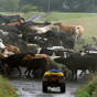 Agriculture sector to have ‘really ambitious targets’ for reducing emissions