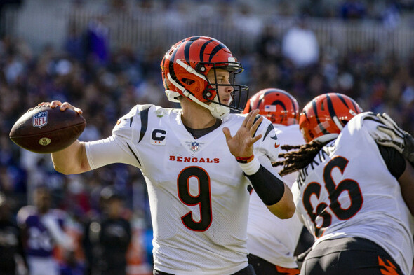 Bengals snap Baltimore's 5-game NFL win streak - Vimarsana News