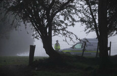 Search of woodland in Deirdre Jacob case finds ‘nothing of evidential value’