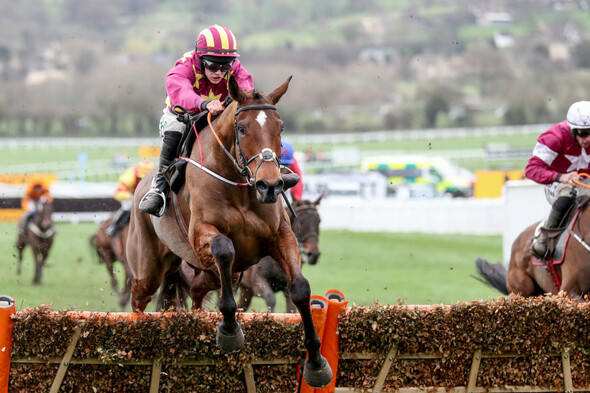 Blackmore on board as Gold Cup hero heads classy quintet at Down Royal - Vimarsana News