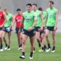 Wexford star signs contract extension at Sydney Swans