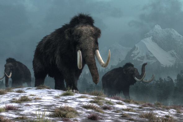Your Evening Longread: What we learn when we unfreeze the Ice Age - Vimarsana News