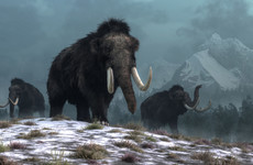 Your Evening Longread: What we learn when we unfreeze the Ice Age