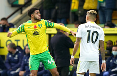 First Premier League goal 'a bittersweet moment' for Irish international Omobamidele