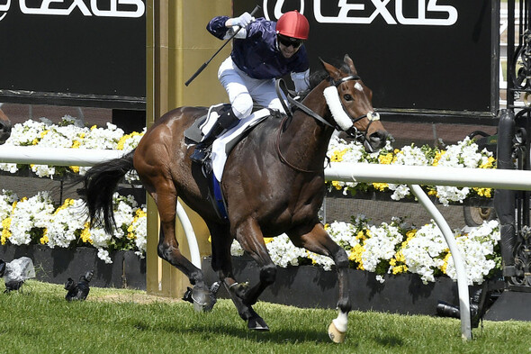 O'Brien team hope that Twilight Payment can defy top weight to defend Melbourne Cup - Vimarsana News