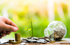 Opinion: Can ethical investing really help in the fight against climate change?