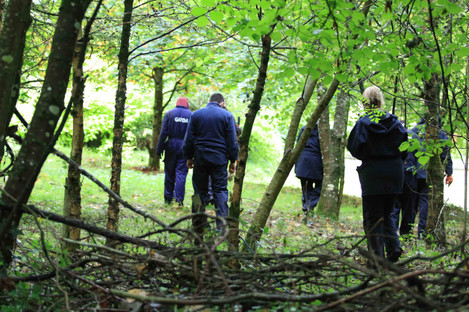 Gardai search Rahin Woods in County Kildare in 2016