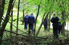 Dog walker tells murder trial he saw 'meat or flesh' in Kildare woods