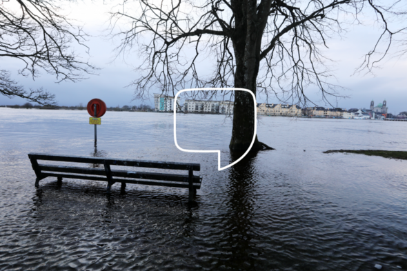 Watch Live: What must Ireland and Europe do to tackle climate change? - Vimarsana News