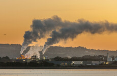 Poll: Are you happy with the revised Climate Action Plan?