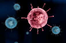 'Early days' for the spread of the flu as no cases reported in the last week
