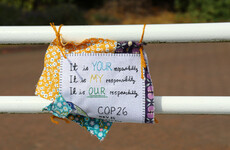 Poll: Have you been following the proceedings at Cop26?