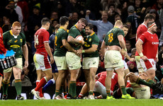 World champion Springboks edge a thriller with Wales in the rain in Cardiff