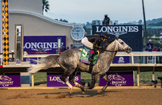 Knicks Go captures Breeders' Cup Classic while Yibir triumphs in Turf