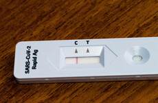 Antigen testing to be introduced in primary schools, Taoiseach confirms