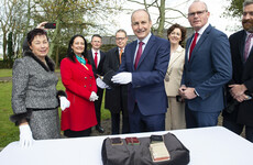 Michael Collins' diaries of daily life have been loaned to the State by his family