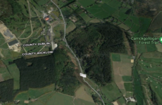Coillte decides not to sell forest lands in Wicklow after 'people power wins out'