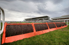 No evidence doping rules in Irish horseracing lower than international standards