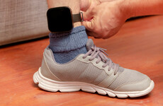 New legislation will allow for electronic monitoring of sex offenders