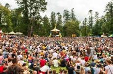 Lineup announced for next year's All Together Now festival