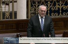 HSE workers who failed ‘Grace’ should be prosecuted, Dáil told