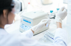 HPSC reports no new cases of flu for second week