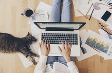 Poll: Are you in a position to work remotely?