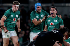 Ireland move up to third in world rankings after beating the All Blacks