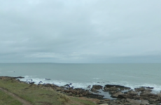 Plane that crashed on Wexford beach lost engine power after appearing to suffer from fuel loss