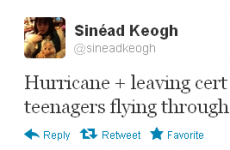'Who needs a Leaving Cert?' The best tweets from results day (and night)