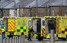 Kelly says Government should have bought some private hospitals outright last year