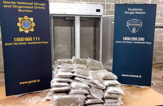 Two men arrested after €1.94 million worth of herbal cannabis seized during Garda raid