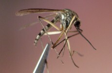 Dallas declares a state of emergency over virus outbreak