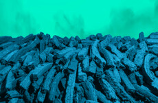 Ireland exporting 11 times more peat than it imports - amid horticulture supply fears