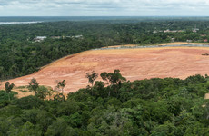 Deforestation of Brazil's Amazon up 22% in a year, highest level in 15 years