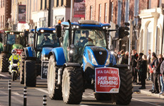 Farmers protest in Dublin as Agriculture Minister defends Government climate targets