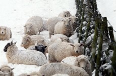 Thaw could prove fleeting as temperature due to drop again next week