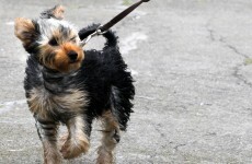 Top readers' comments of the week