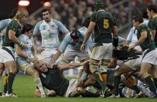 Argentina prepare for Rugby Championship debut against Springboks