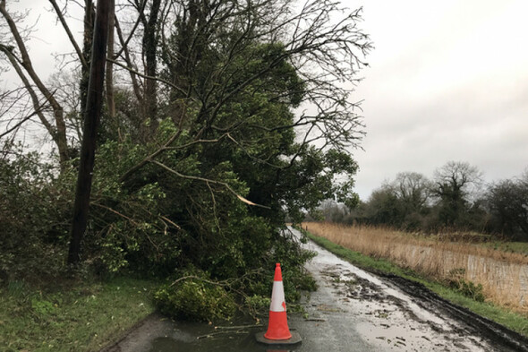 Risk of high seas and toppled trees as Storm Arwen to arrive over Ireland this afternoon - Vimarsana News