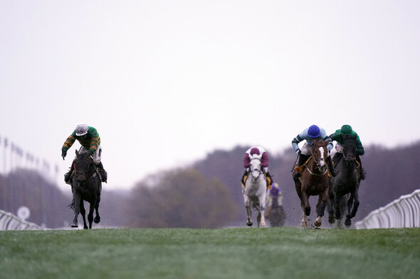 Epatante and Not So Sleepy share the spoils after dead heat in thrilling Fighting Fifth finish - Vimarsana News