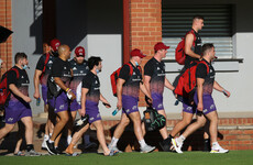 Munster have been given the go-ahead to fly home from South Africa