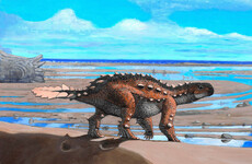 Scientists in Chile find fossils of new dinosaur species with unique slashing tail