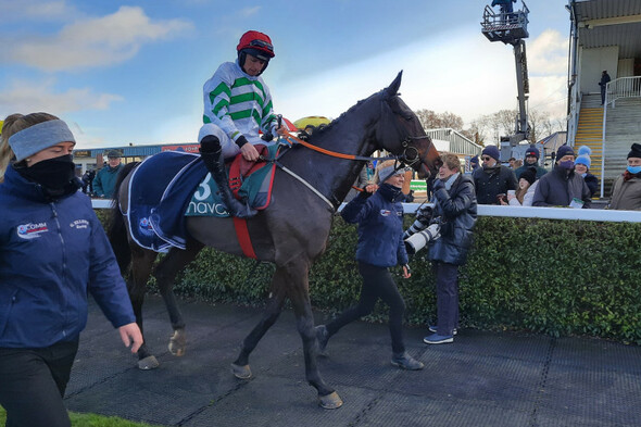 Ginto makes striking impression in Navan victory - Vimarsana News