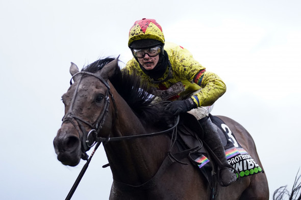 Protektorat sparks Gold Cup dreams at Aintree - Vimarsana News