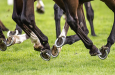 Leading French racehorse trainers arrested on doping suspicion - reports