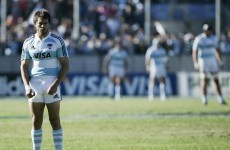 Rugby Championship: Pumas begin new phase in deep end